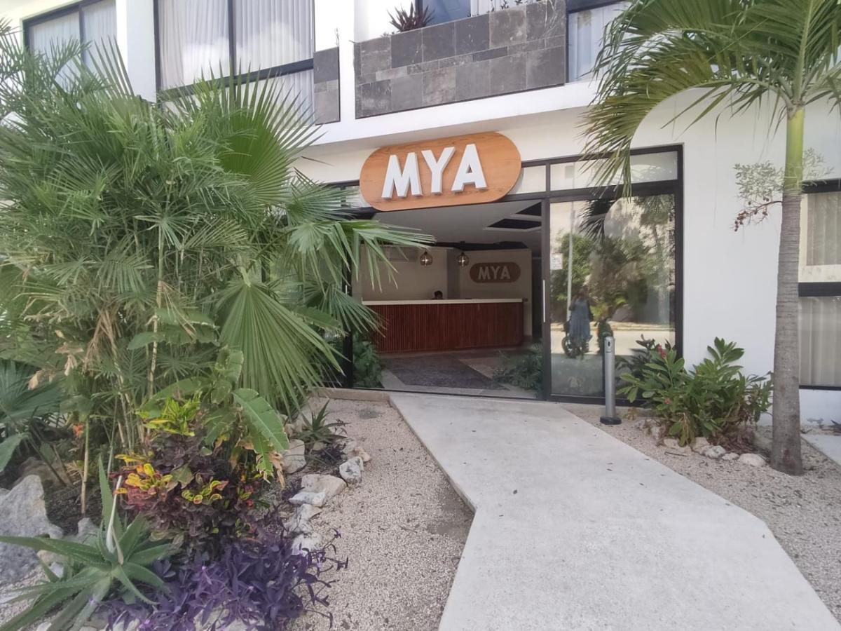 Nuevo Estudio Con Terraza Totalmente Equipado Tulum Aldea Zama Екстер'єр фото